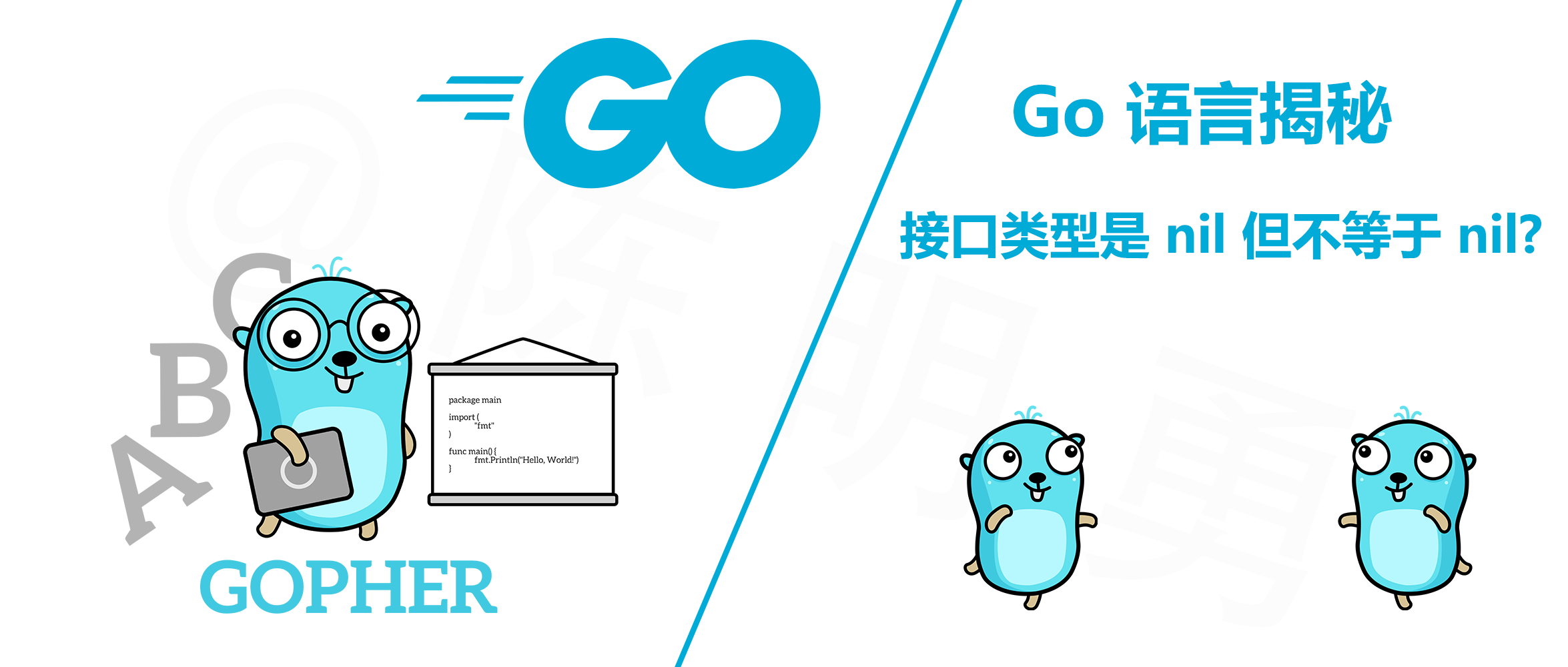 Go 语言揭秘：接口类型是 nil 但不等于 nil？